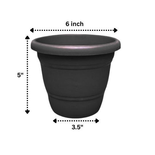 NG-00055-6-Black